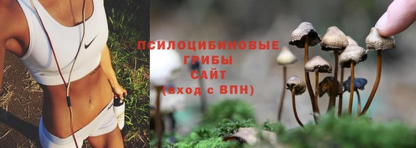 не бодяженный Приозерск