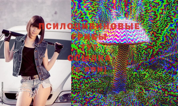 марки lsd Аркадак