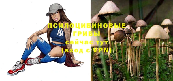 apvp Арсеньев