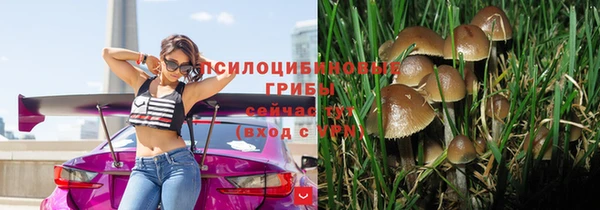 apvp Арсеньев